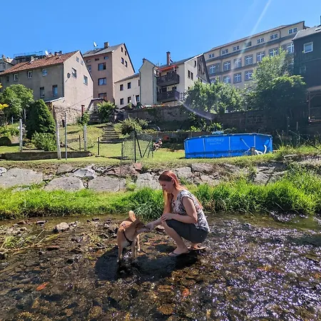 Uo2 - Urlaubsmagie - Garten, Whirlpool, Sauna * Sebnitz